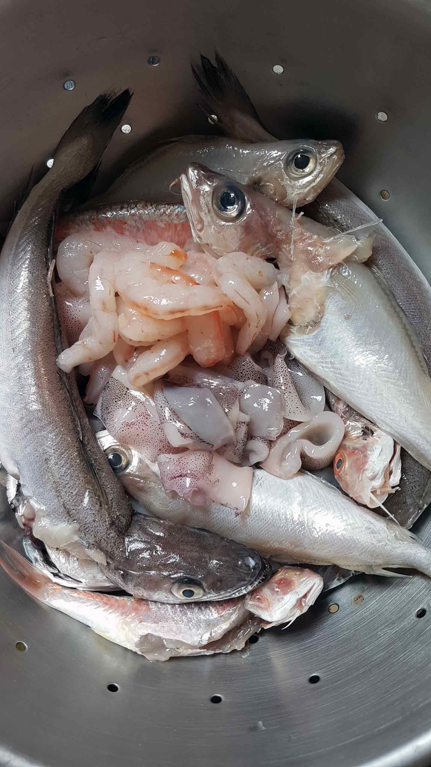 pesci-di-paranza